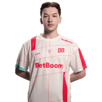 zorte
