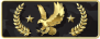 legendary eagle logo